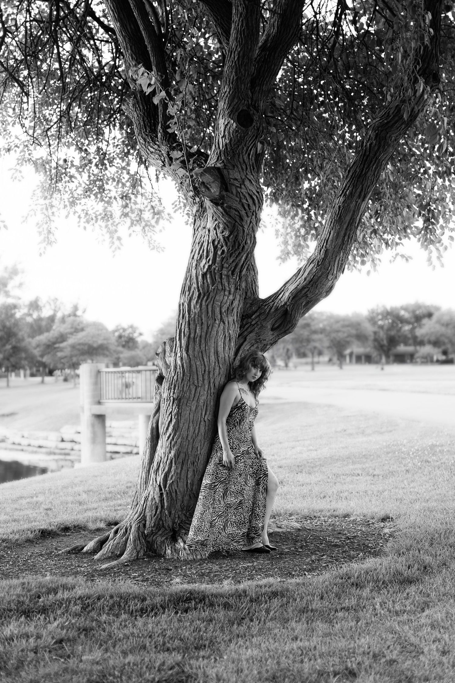 Black and white photo of someone leaning against a large tree trunk in a park.
