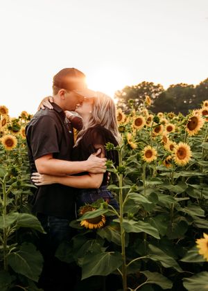 A romantic couple embraces in a sunflower field at sunset with golden light streaming through.