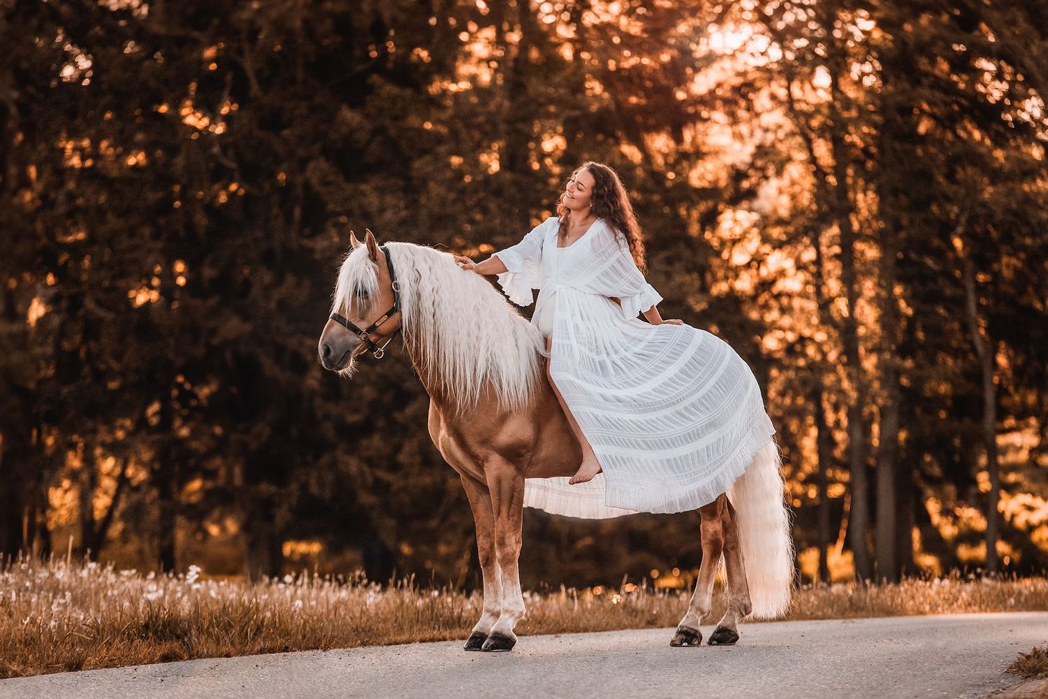 Haflinger Hengst Manu mit langer Mähne und Frau mit braunen Locken in weißem Kleid beim Fotoshooting zum Sonnenaufgang