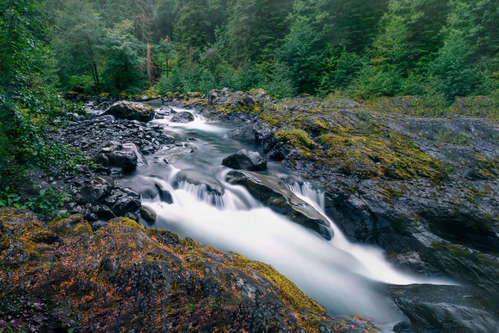 Long exposure of a river flowing beneath the trees near Mount Rainier in Washington, captured by Chris Cornish Photography.
