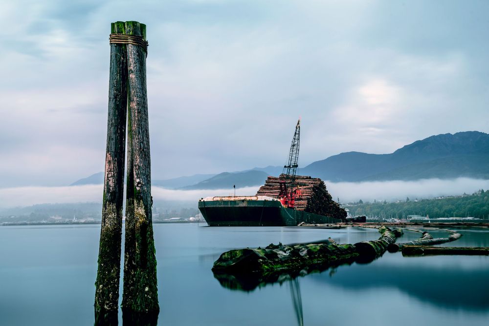 Long exposure of two wooden pilings with a chain extending into the water near a green shoreline in Port Angeles, Washington, captured by Ch