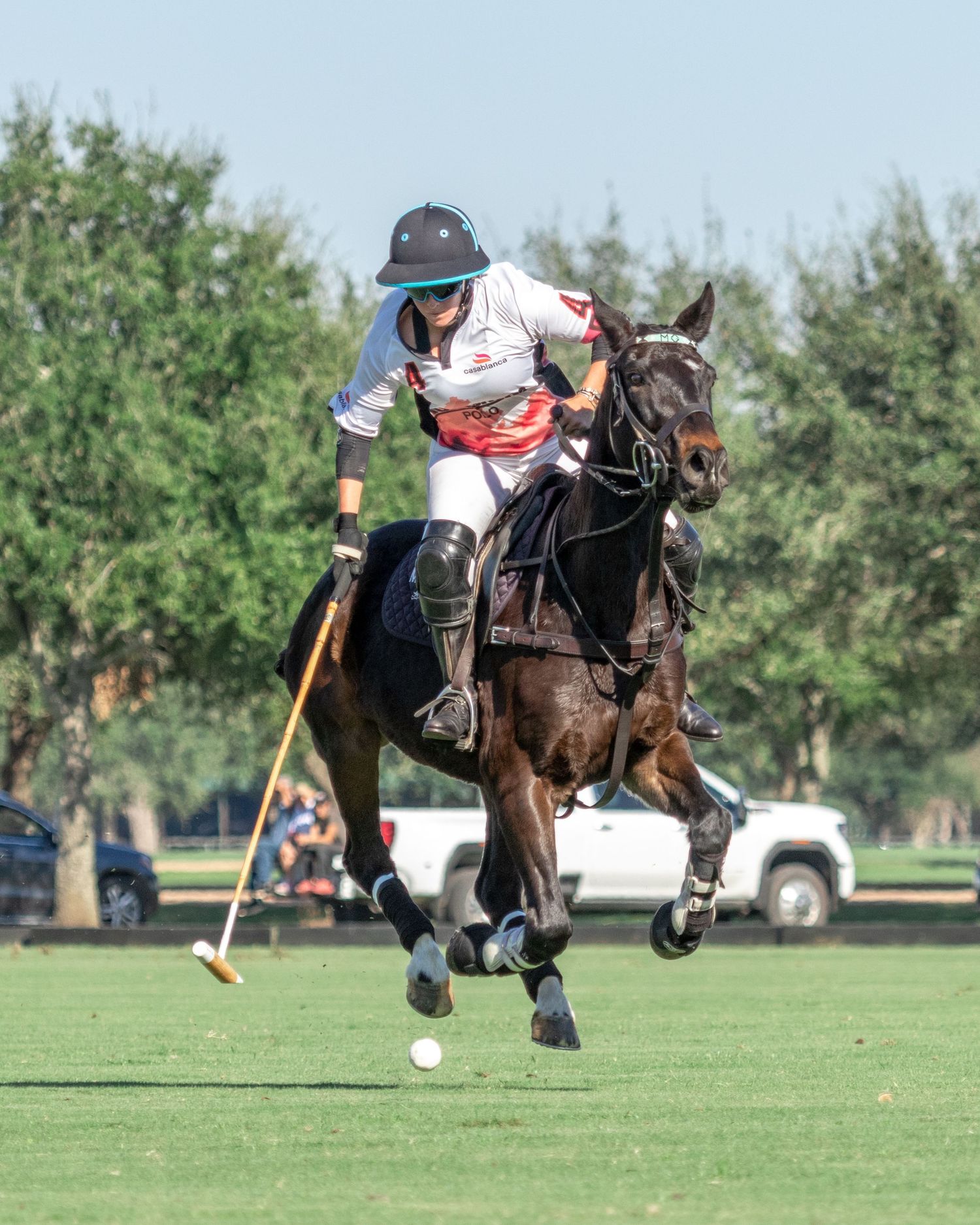 Polo