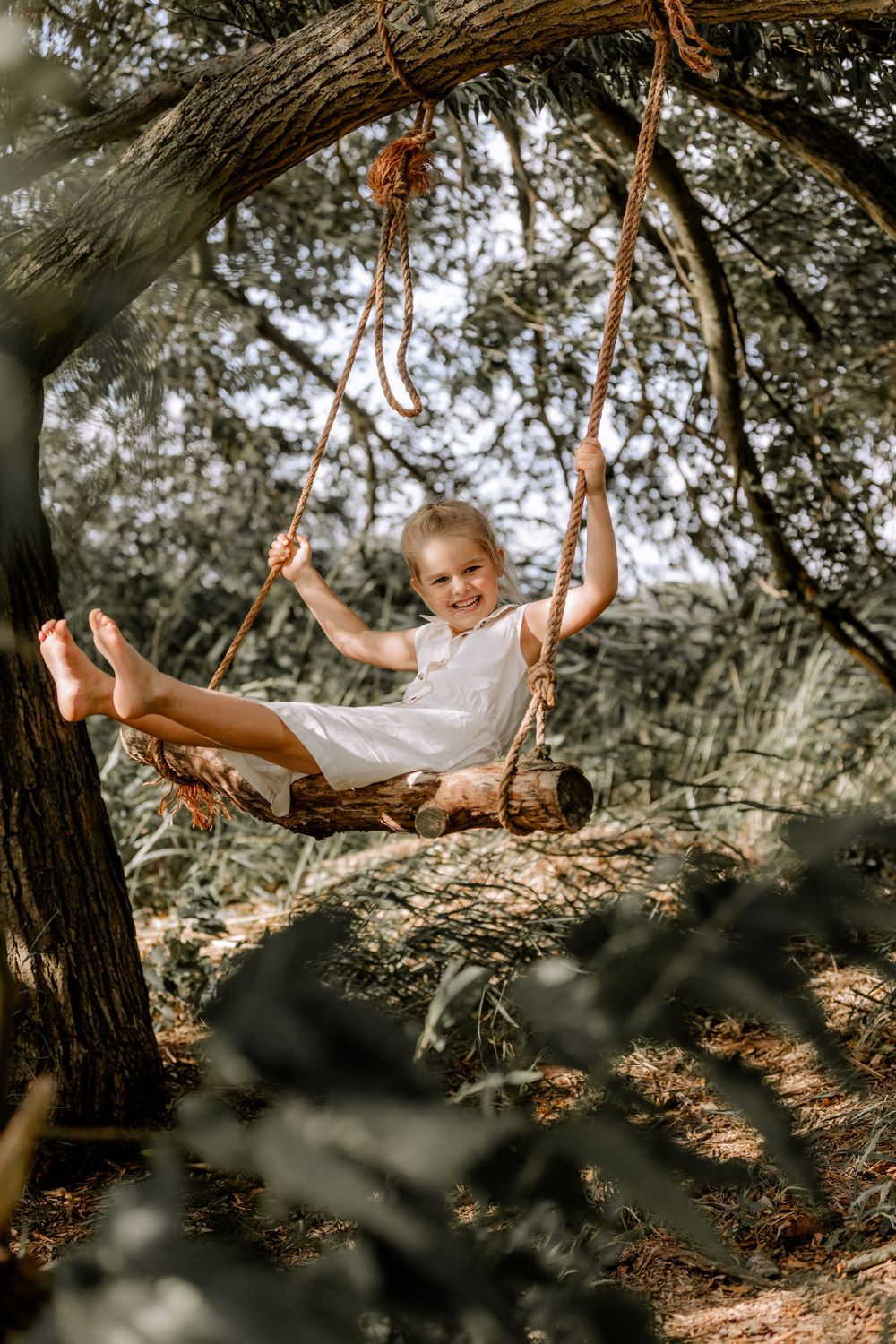 People enjoying a relaxing moment on rope swings among tall trees.