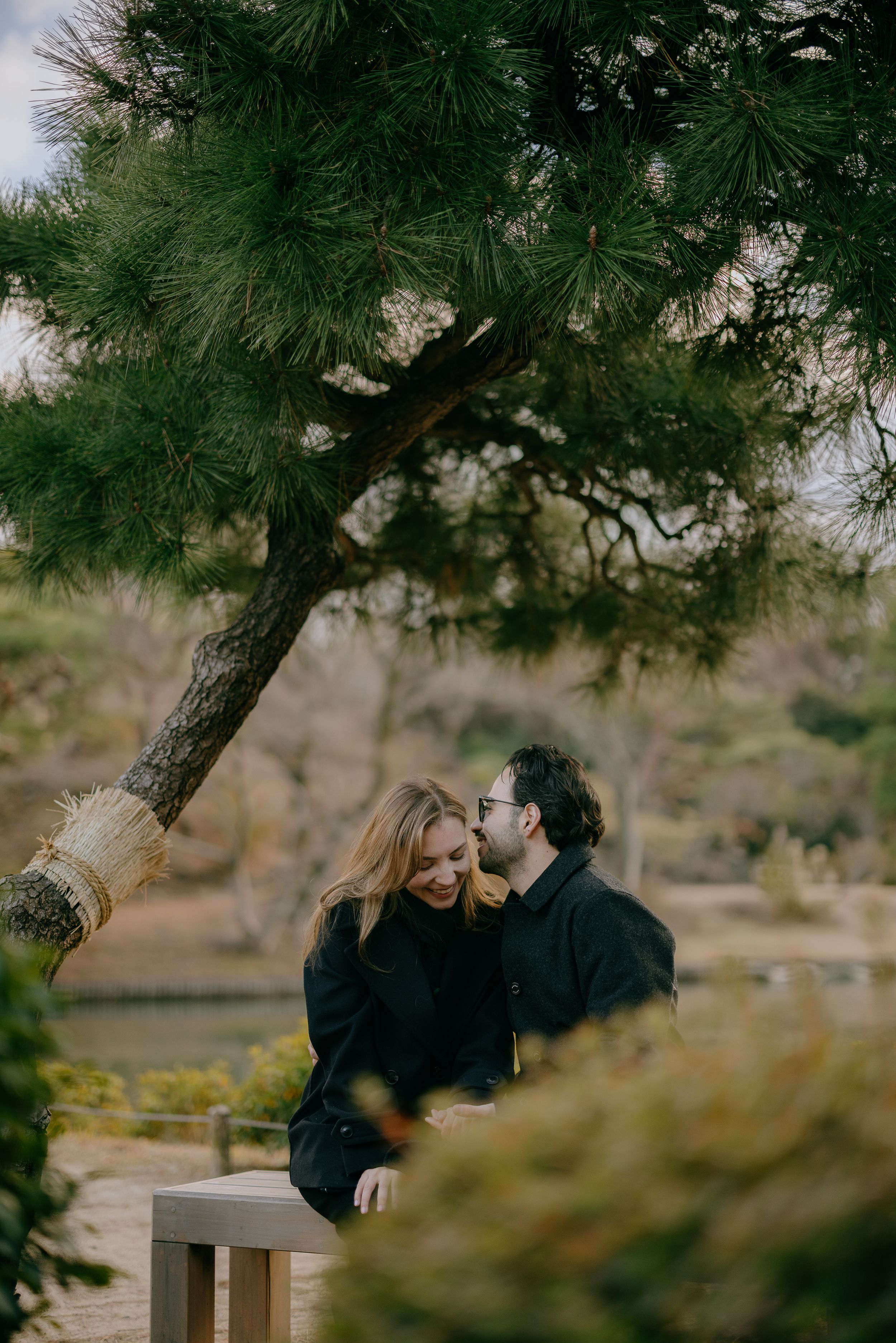 A couple shares a romantic moment on a bench under a pine tree in a natural outdoor setting.