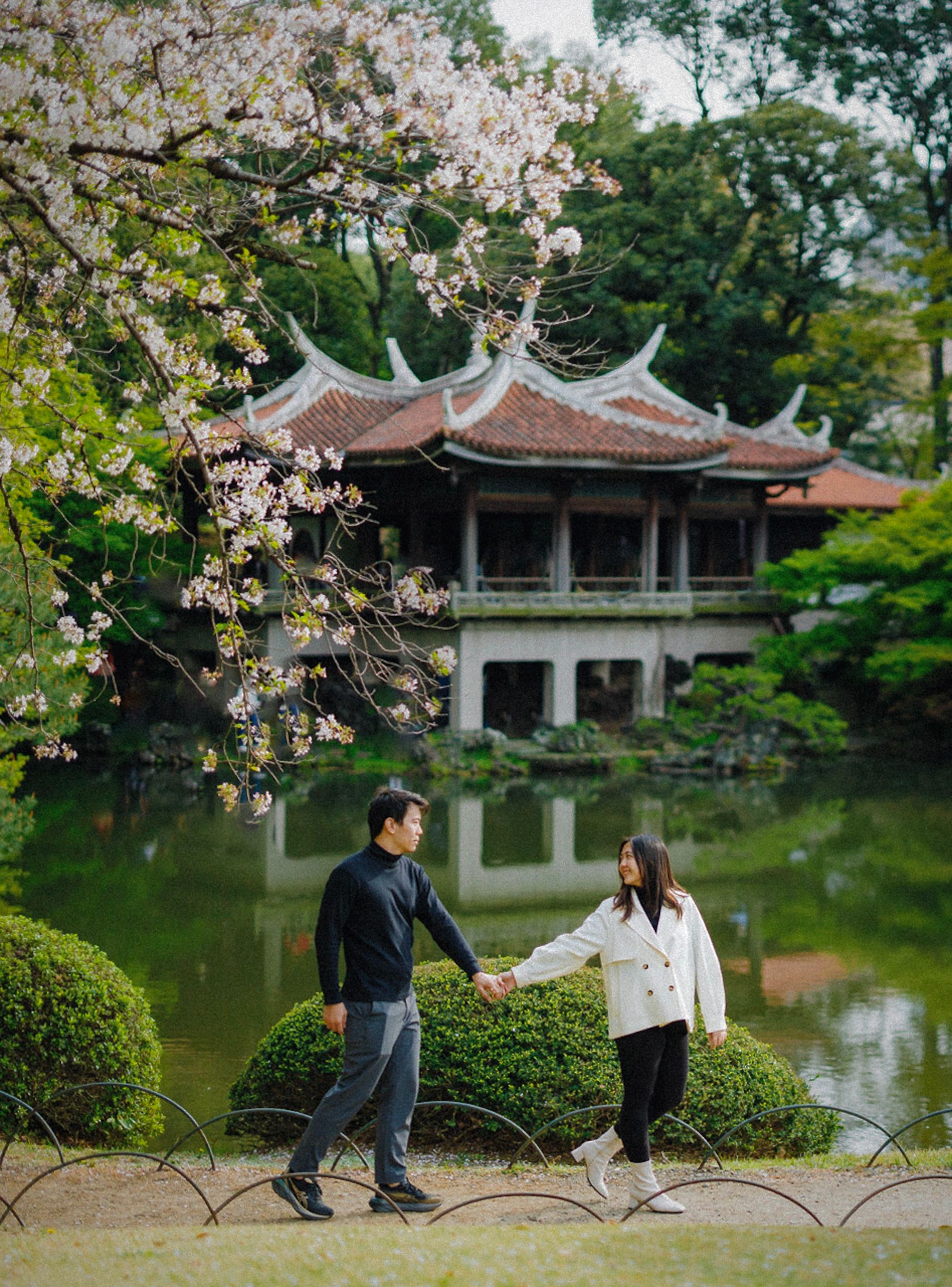 A couple holds hands near a traditional Japanese pavilion surrounded by cherry blossoms.