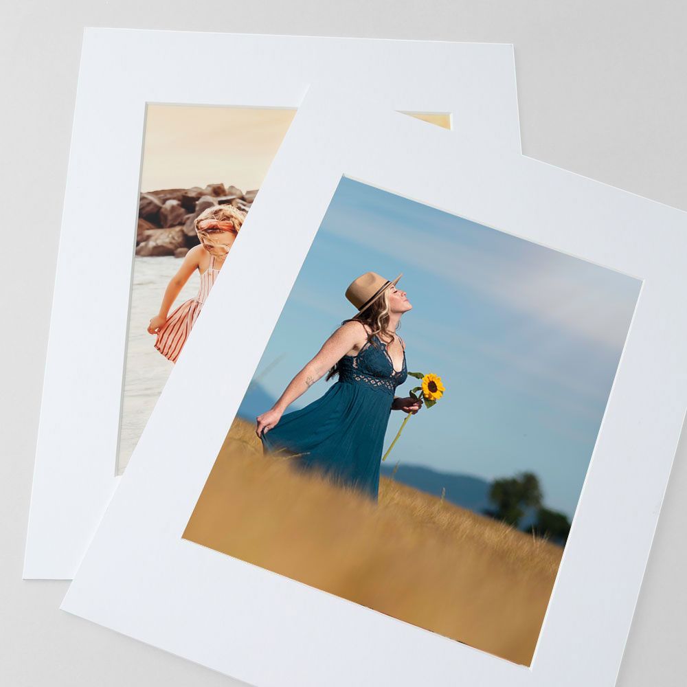 A polaroid-style photo composite showing two photos, one with sunflowers against a blue sky and the other partially visible.