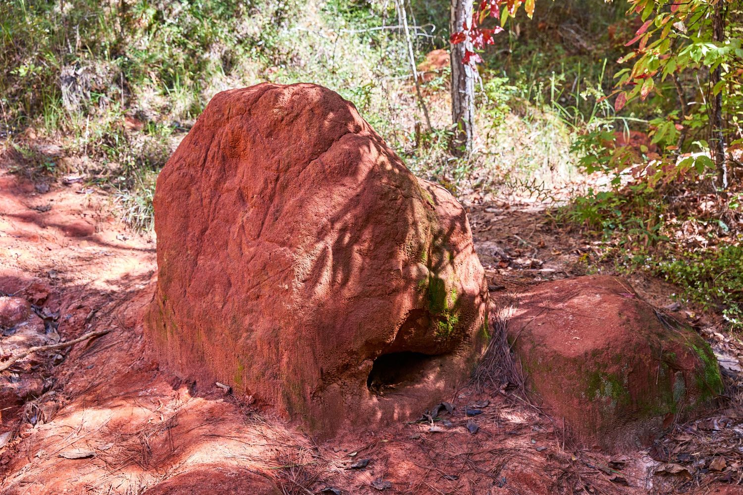 Large red clay boulder or rock formation on a sunlit forest trail.