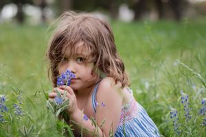 girl in bluebonnets, Austin Texas bluebonnet mini session central austin