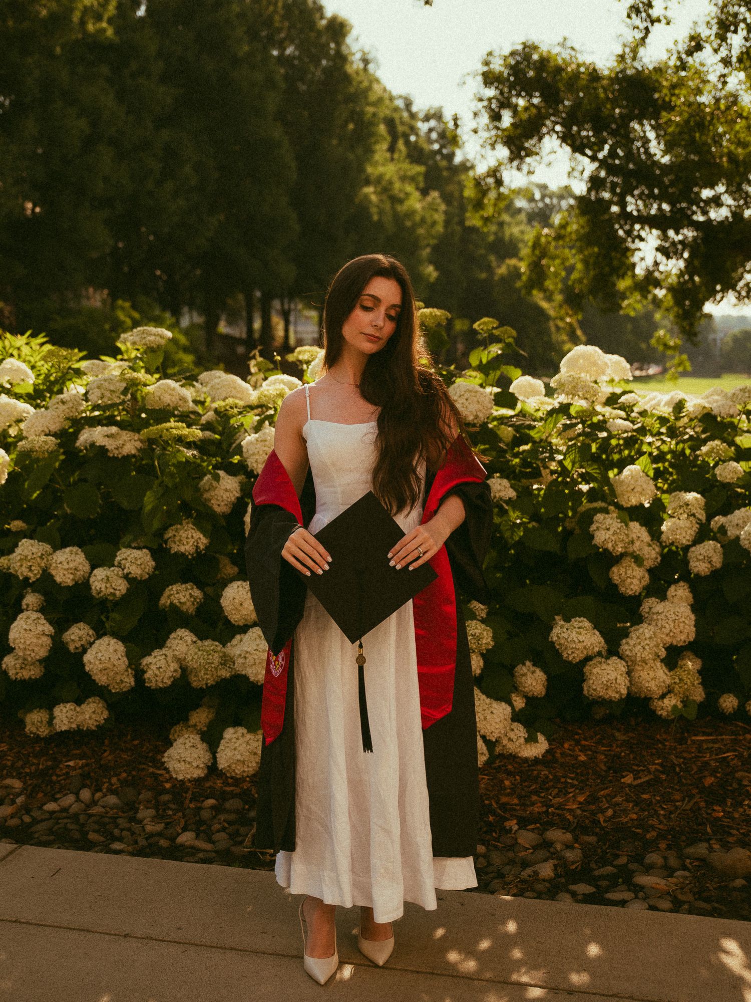 A young woman in a white dress holds a graduation cap, draped in a red academic gown, posing before white hydrangeas.