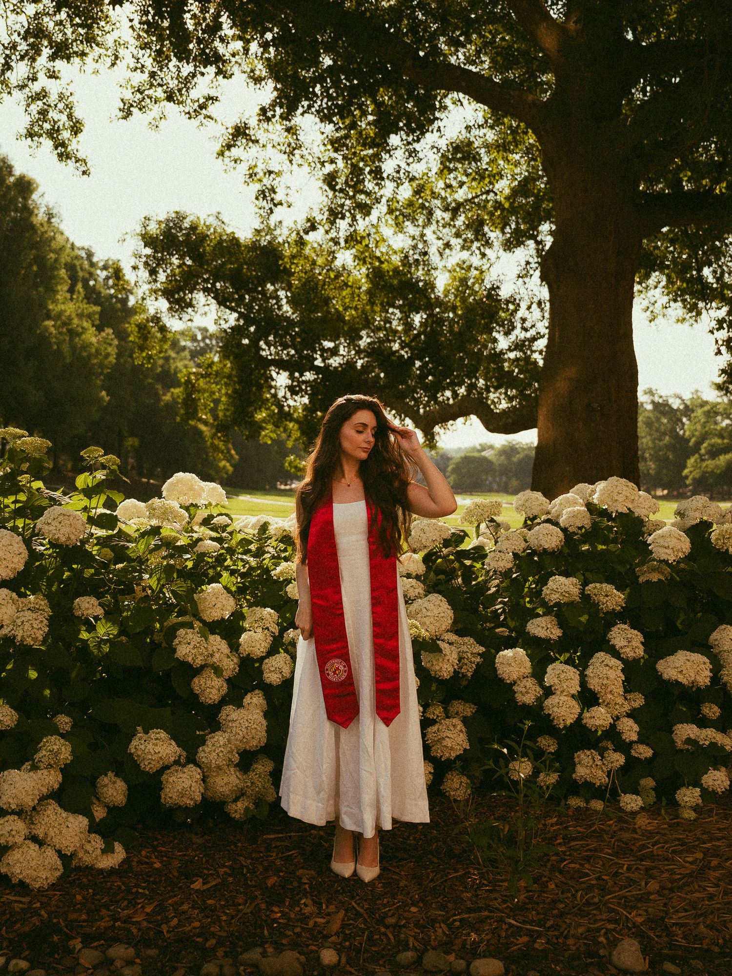 Woman in white dress and red graduation stole standing among white hydrangeas under a large tree.