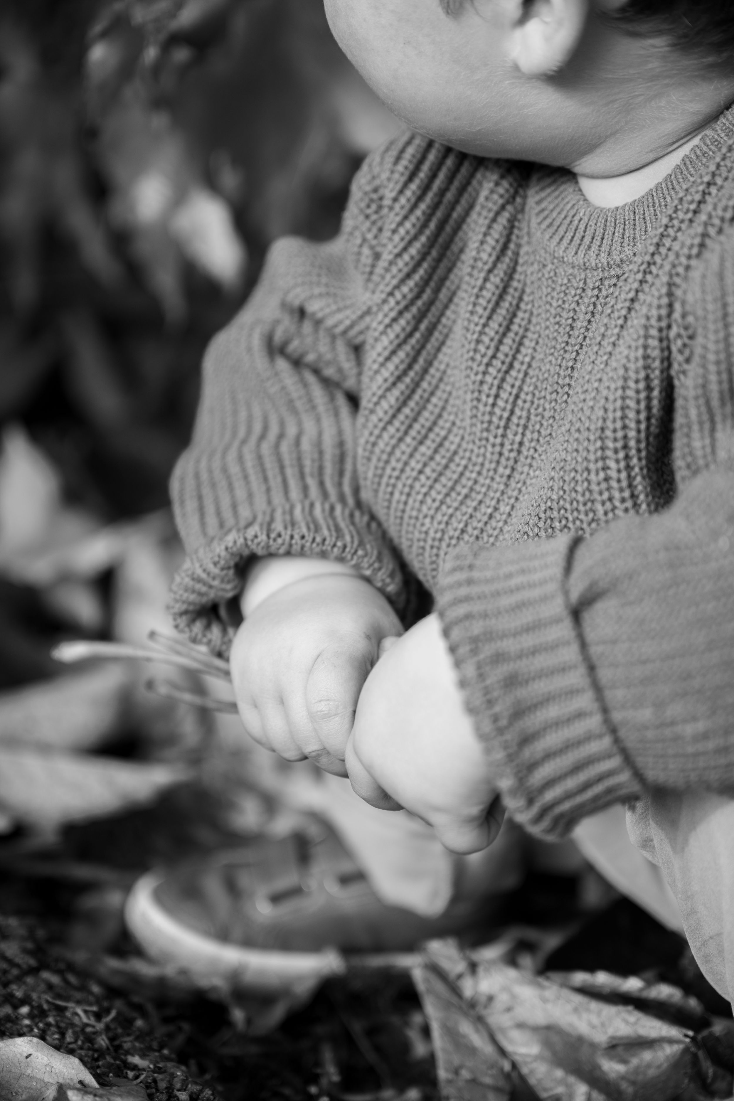 family photography, kids photography, wedding photography, pets photography, newborn and maternity photosession