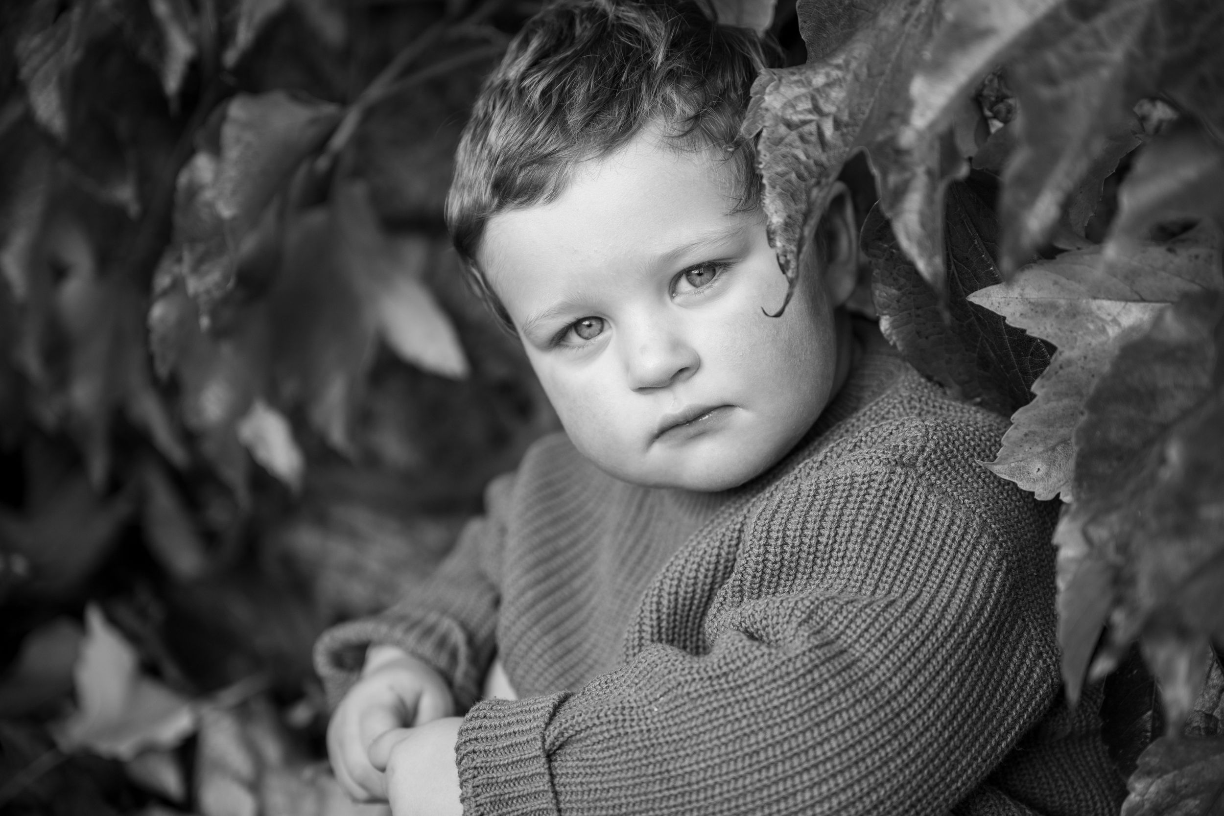 family photography, kids photography, wedding photography, pets photography, newborn and maternity photosession
