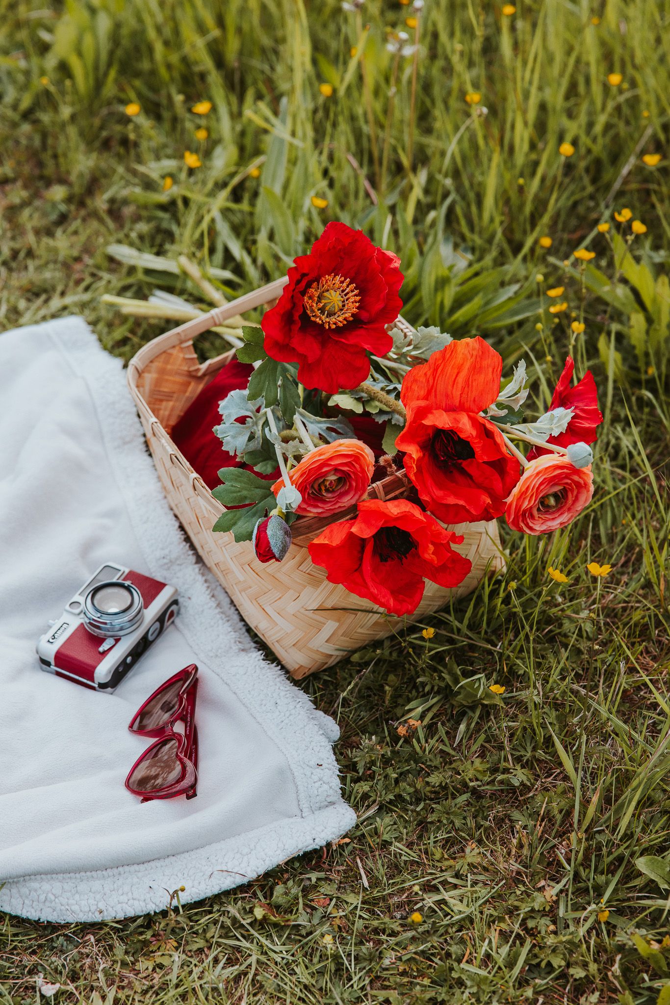 A vintage camera and red poppies arranged on a white blanket in grass with scattered yellow wildflowers during a photoshoot in Hoofddorp.
