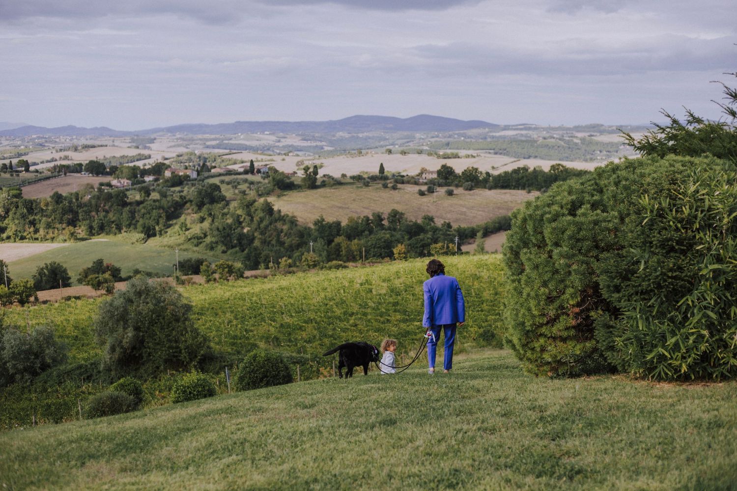 A person in blue walking with their dog on a hillside overlooking a scenic rural landscape.