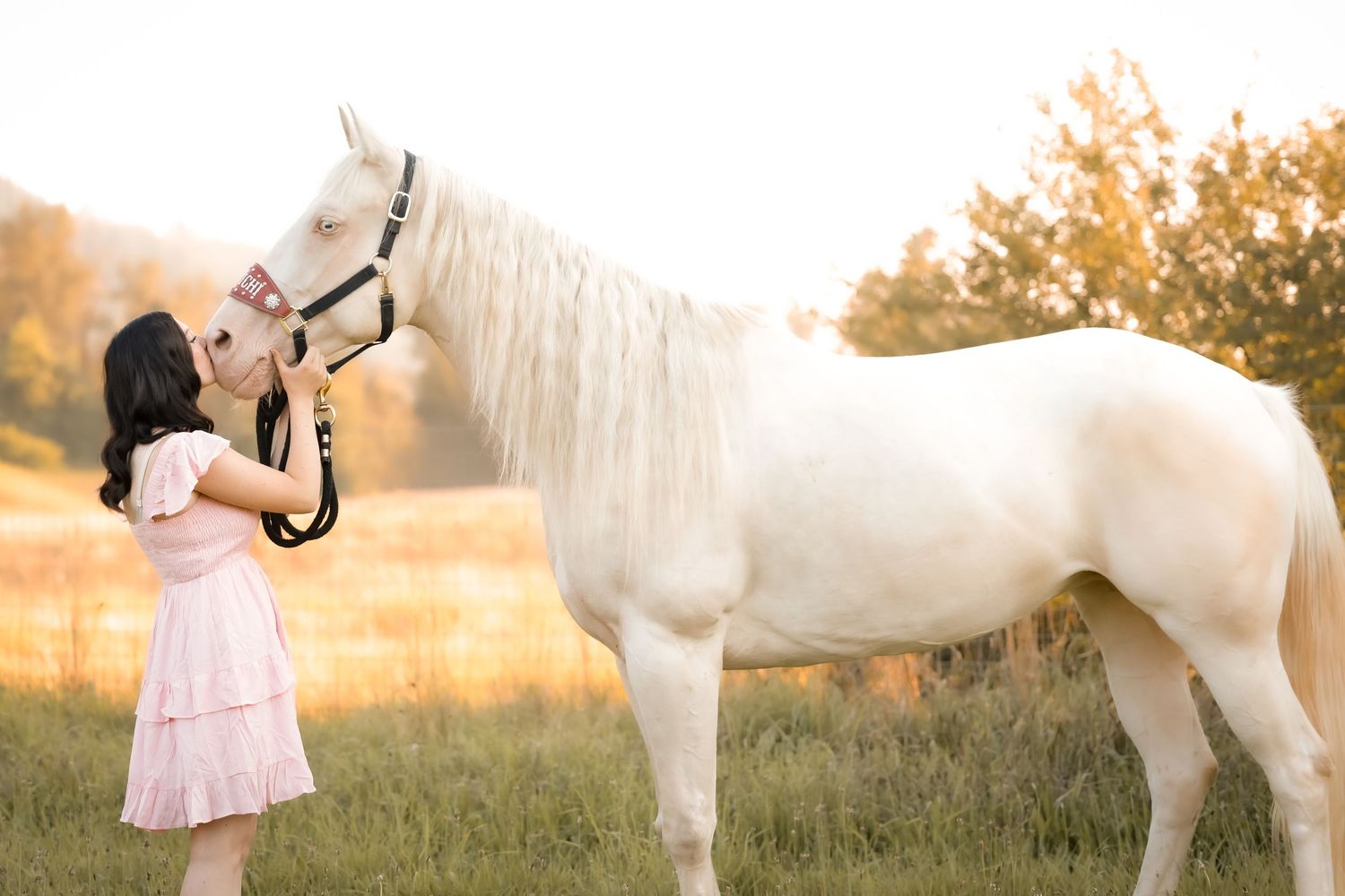 Branded Shutter photography by Kelsie Taylor