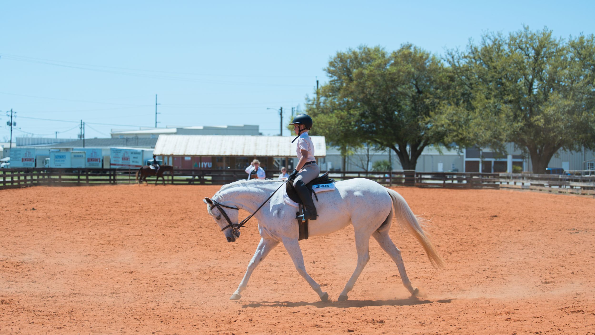 A horse and rider practicing dressage movements in an outdoor arena with trees in the background.