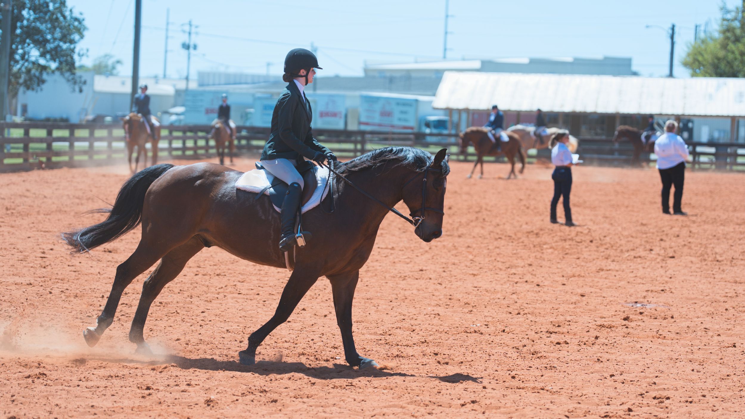 A horse and rider performing a dressage routine in a sandy arena on a sunny day.