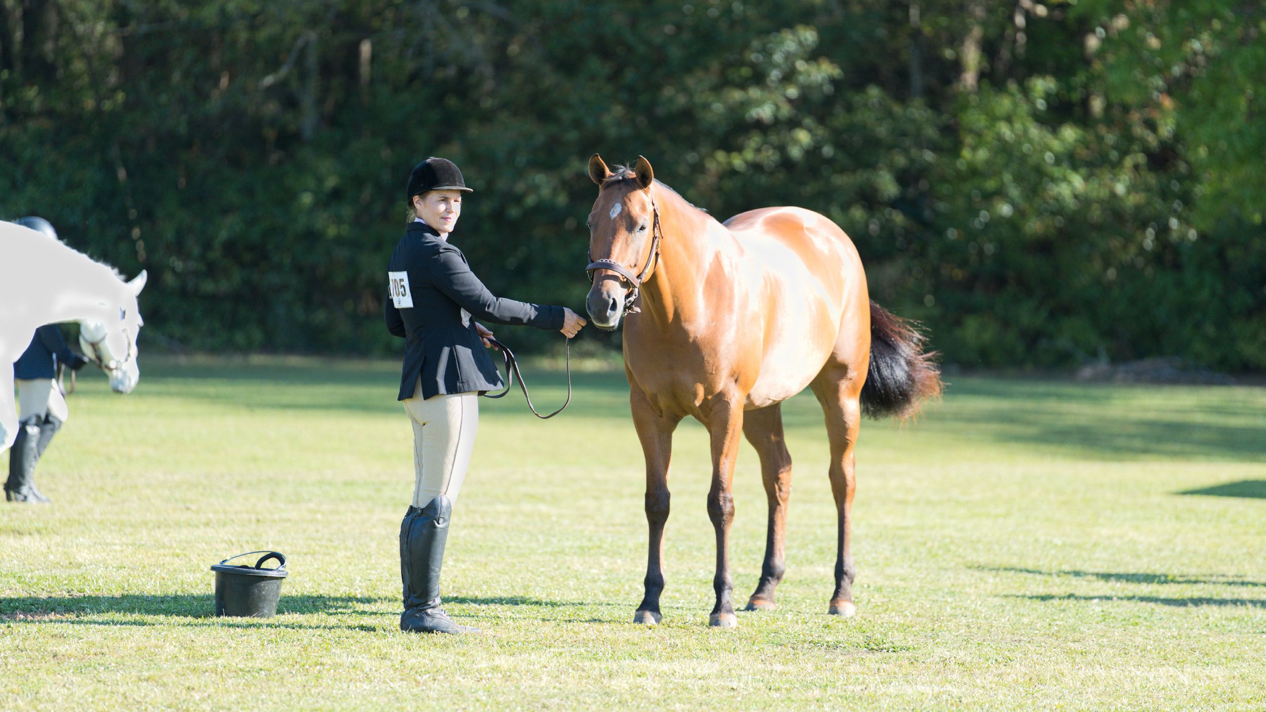 A horse and rider practice dressage movements on a green grassy field during training.
