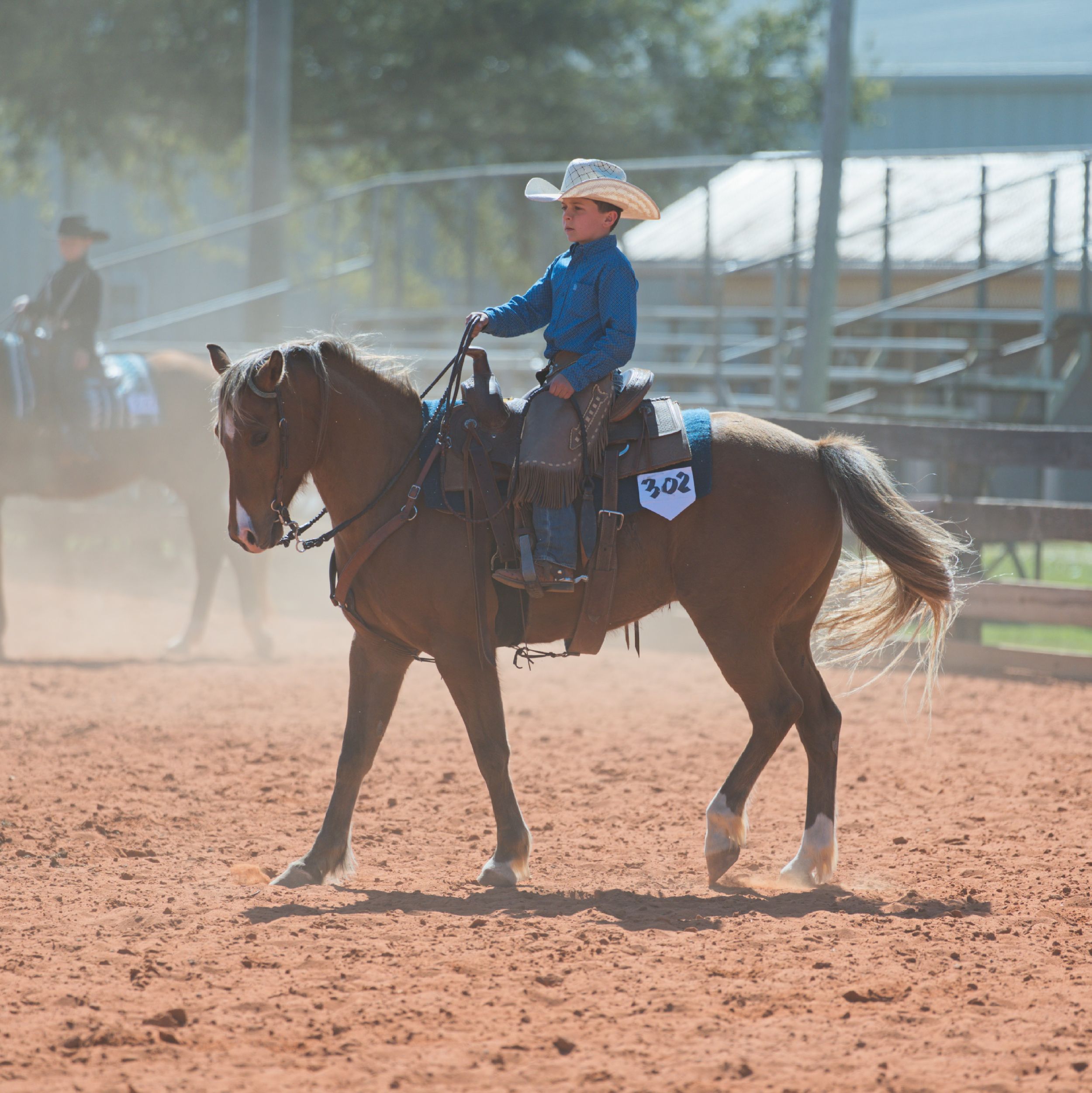 A sequence of five photos showing a horse and rider practicing movements in a dusty outdoor arena.