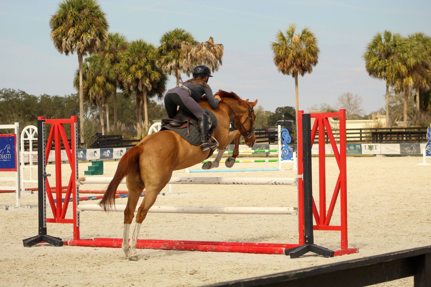Horse Jumping