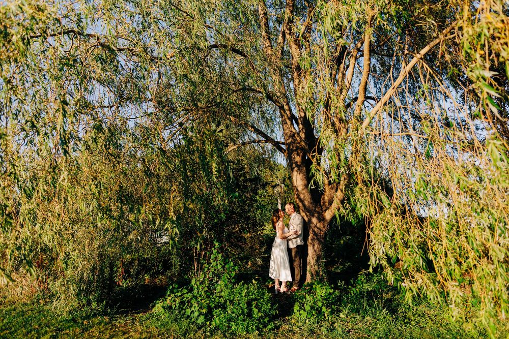 A scenic path through a garden with overhanging willow trees and green foliage creates a natural archway.