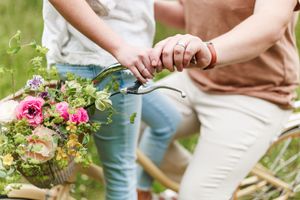 Close-up of hands holding flowers and interacting in a garden setting with pink blooms.
