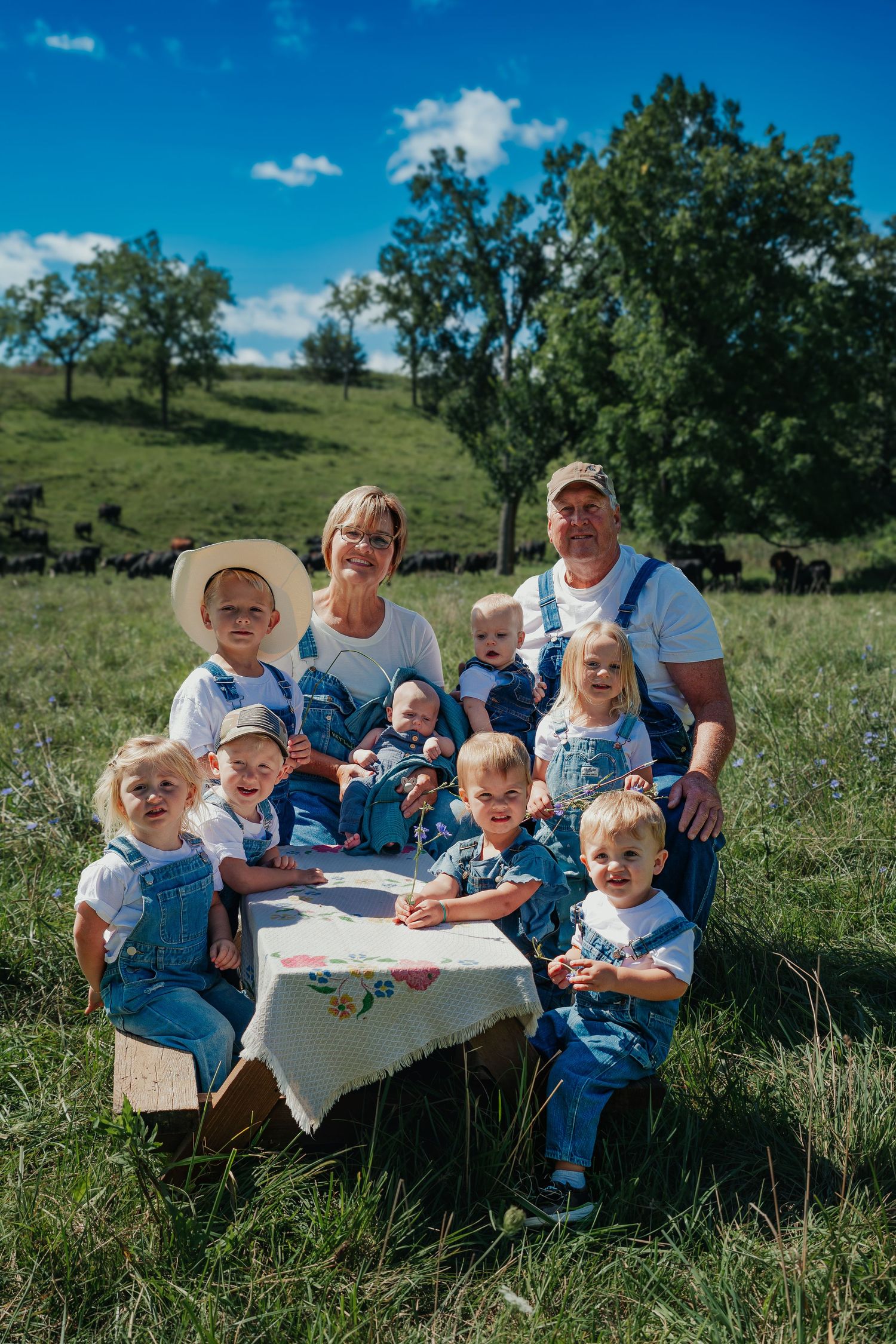Large family picnic gathering on grassy hillside with blue sky backdrop.