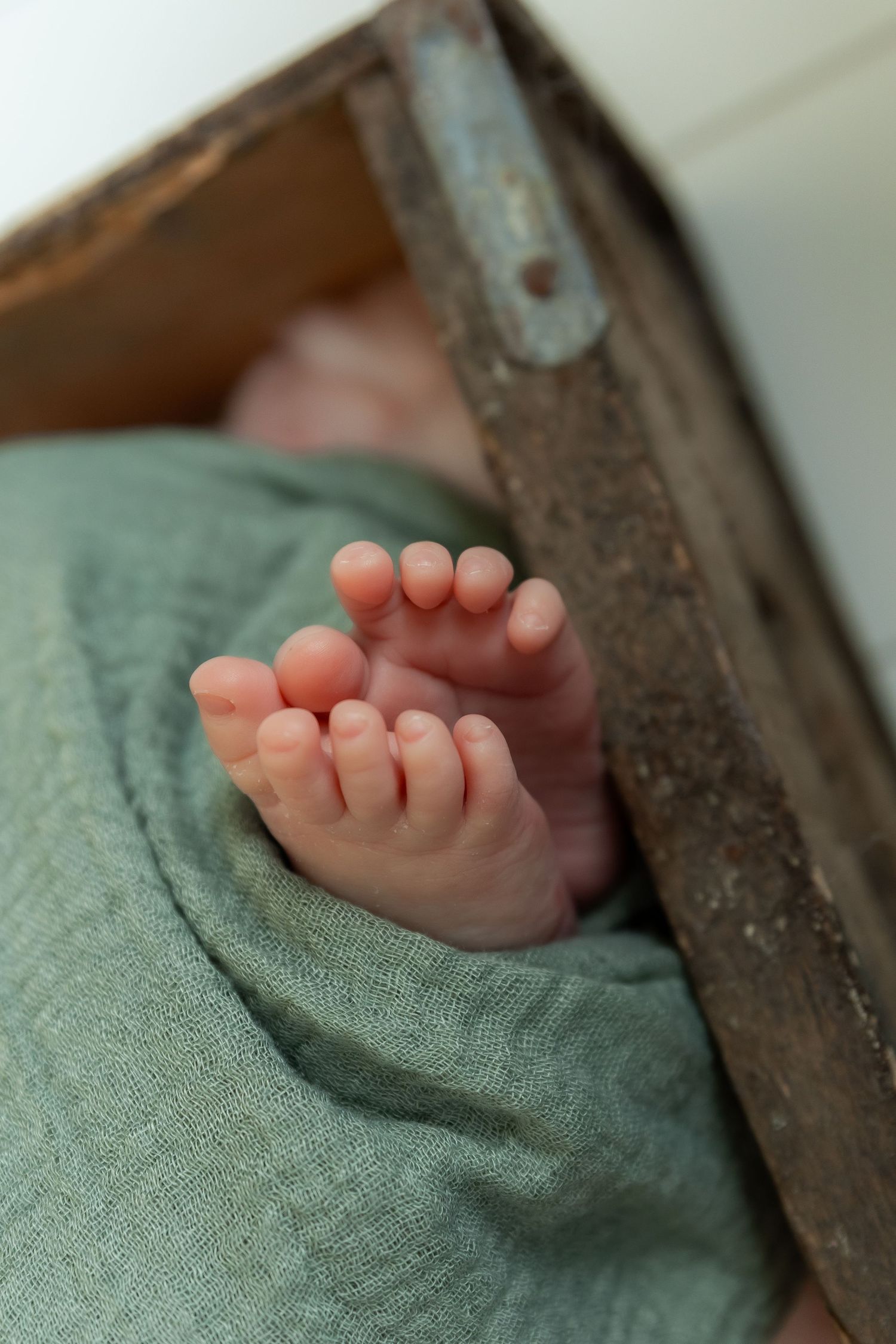 Close-up view of tiny baby feet resting on green fabric.