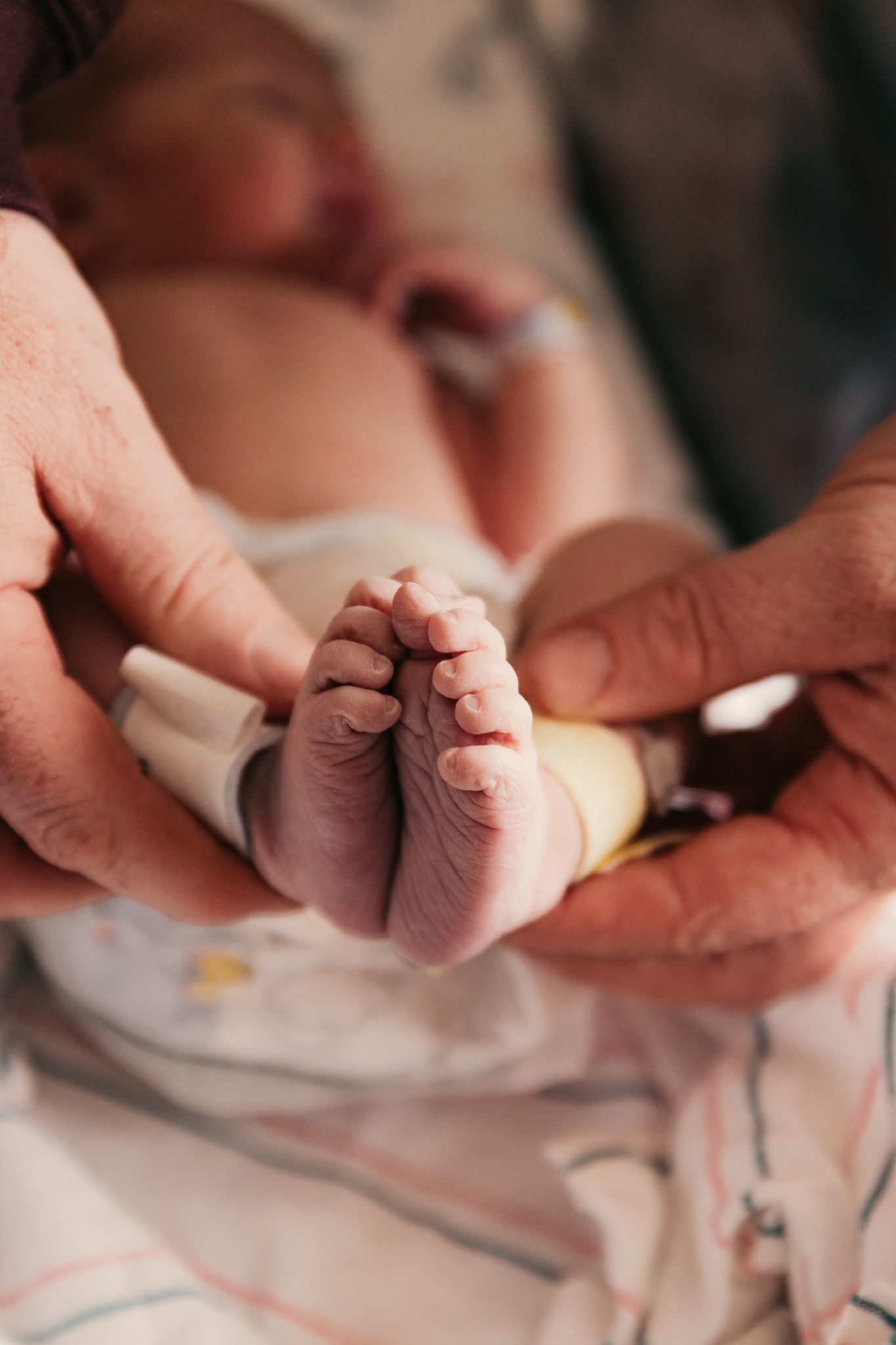 Tiny newborn baby feet being gently held by adult hands.
