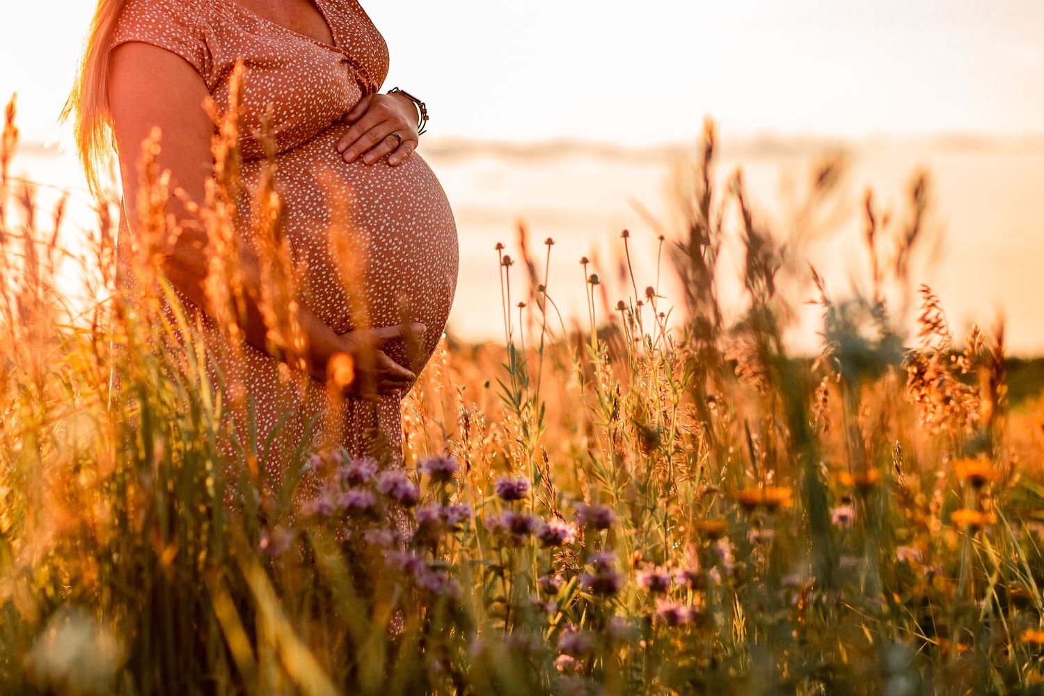 Silhouettes of people in a field during golden hour with tall grass and warm sunlight.