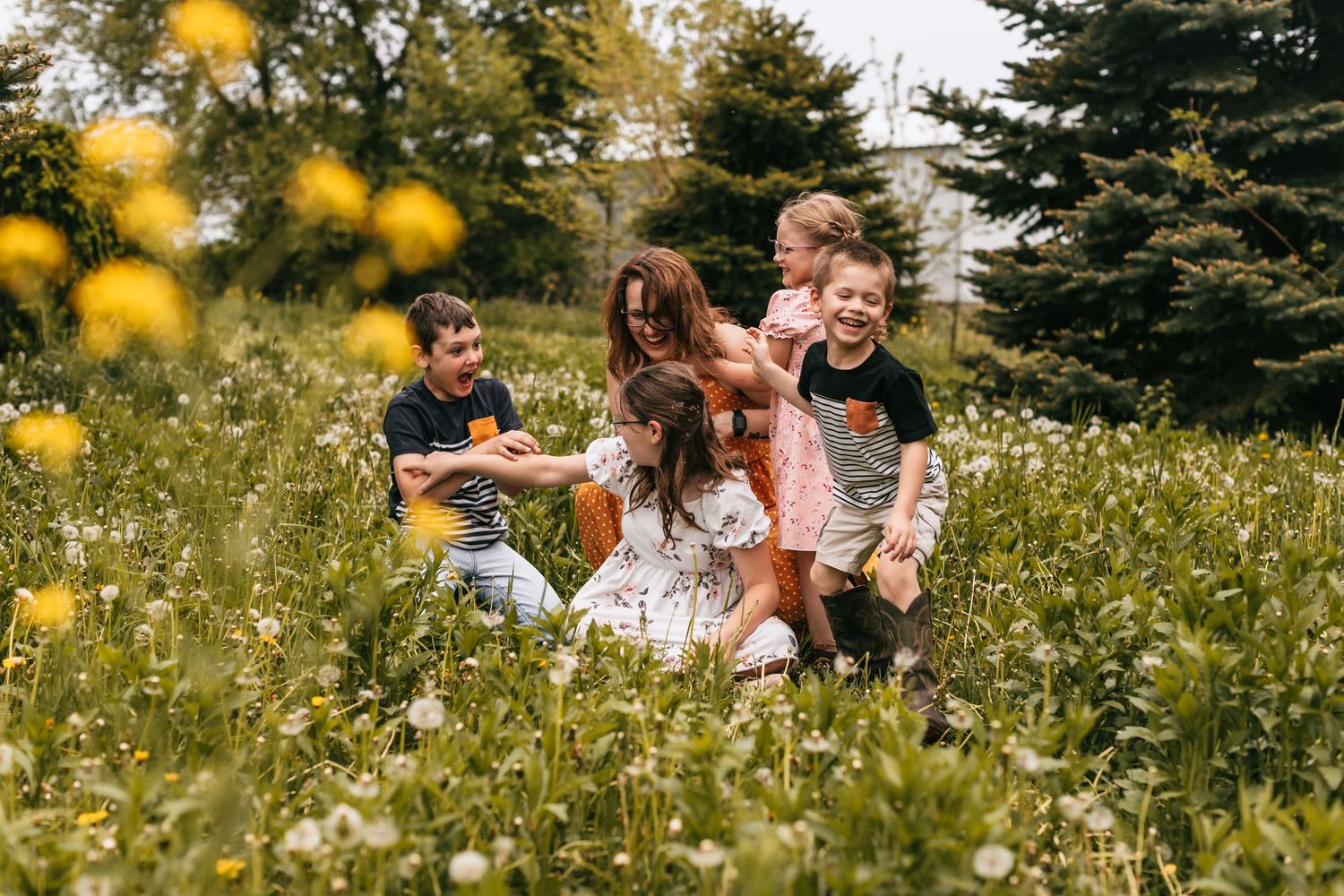 Group photos in a sunny wildflower meadow with yellow blooms.