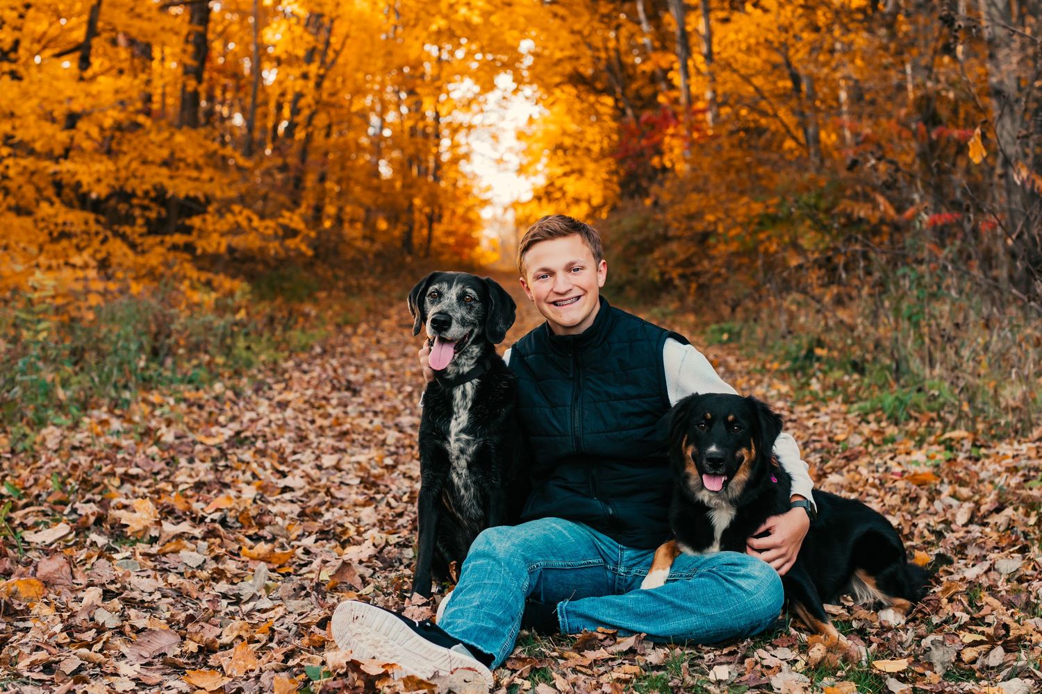 Person sitting with two black dogs on autumn leaves during golden sunset.