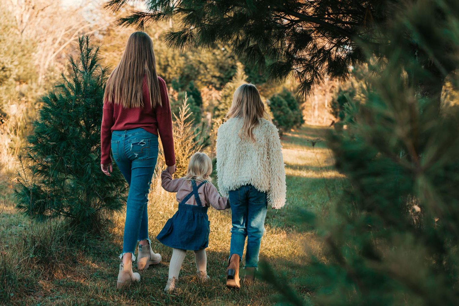 Three people walking together holding hands through a sunlit forest path on an autumn day.