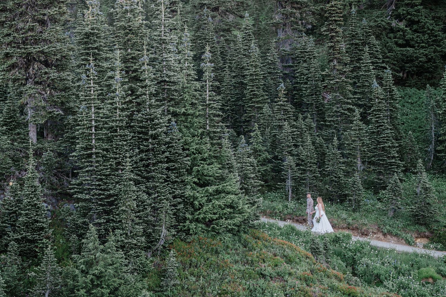 bride and groom walking along Skyline Trail in Mt. Rainier for their elopement day