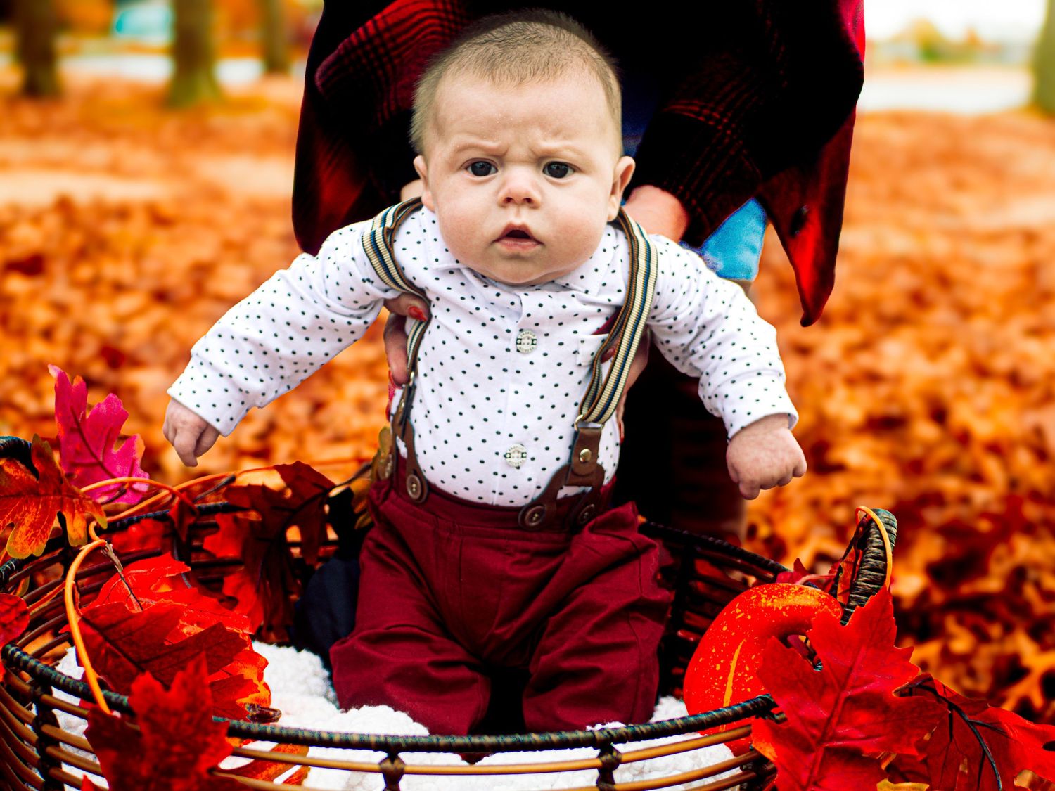 A baby in polka dot clothing and burgundy overalls sits among vibrant red autumn leaves.