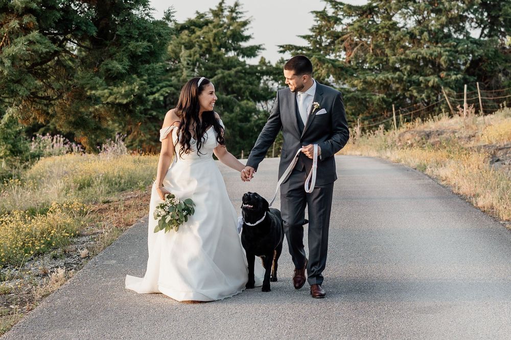 A couple walks along a winding country road surrounded by golden grass and trees during a wedding photo session.