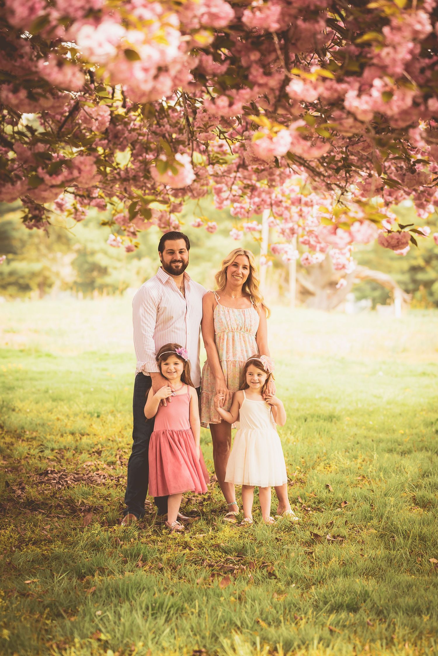 A family stands together under blooming pink cherry blossoms in a sunlit spring meadow.
