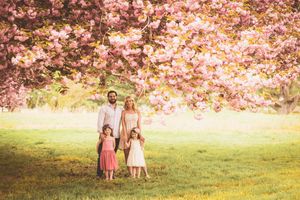 Cherry blossoms bloom above people enjoying a spring day in a sunny park setting.