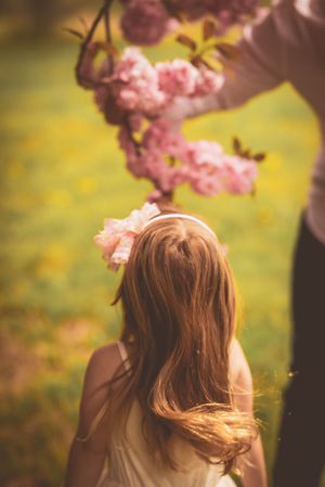 Person admiring pink cherry blossoms against a soft bokeh background in springtime.