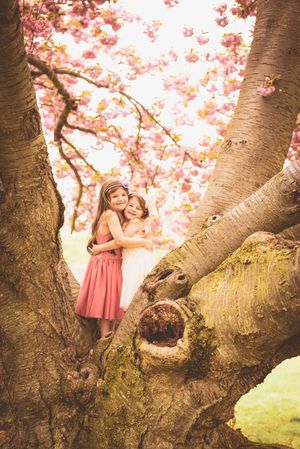 Two young children in coral dresses sit together in a blooming cherry blossom tree on a spring day.