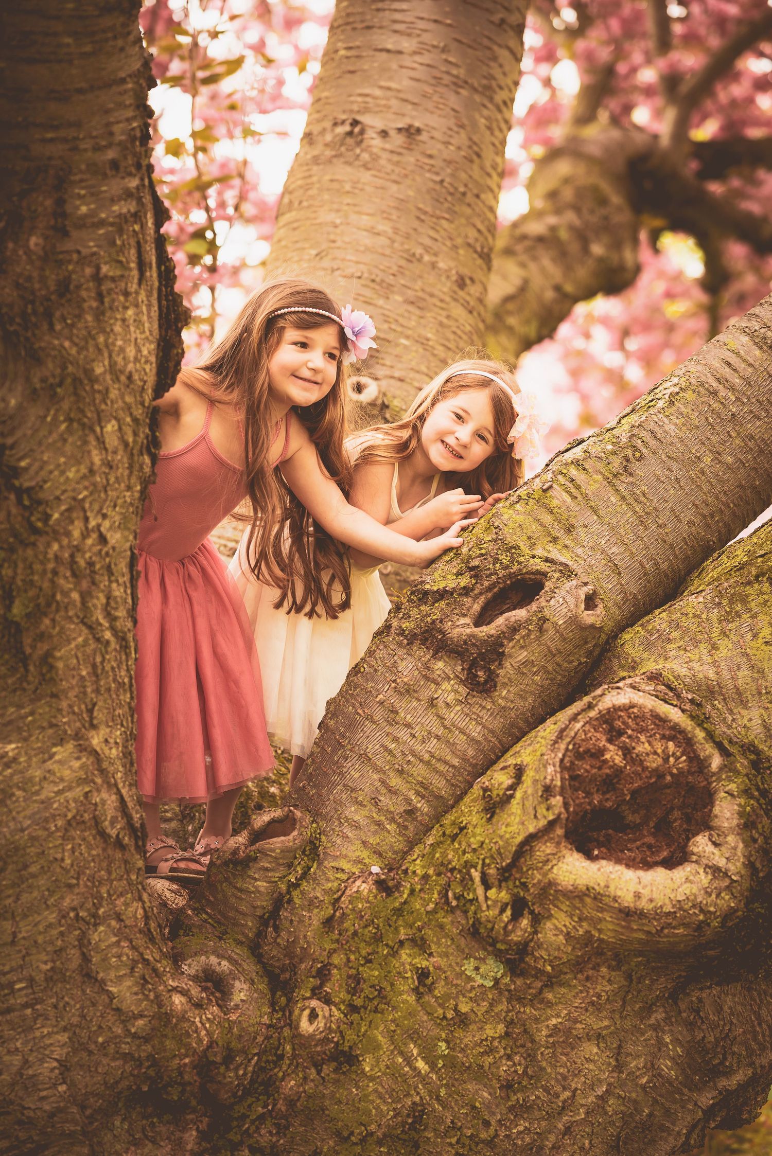 Two children in pink and cream dresses pose playfully on a large cherry blossom tree trunk.