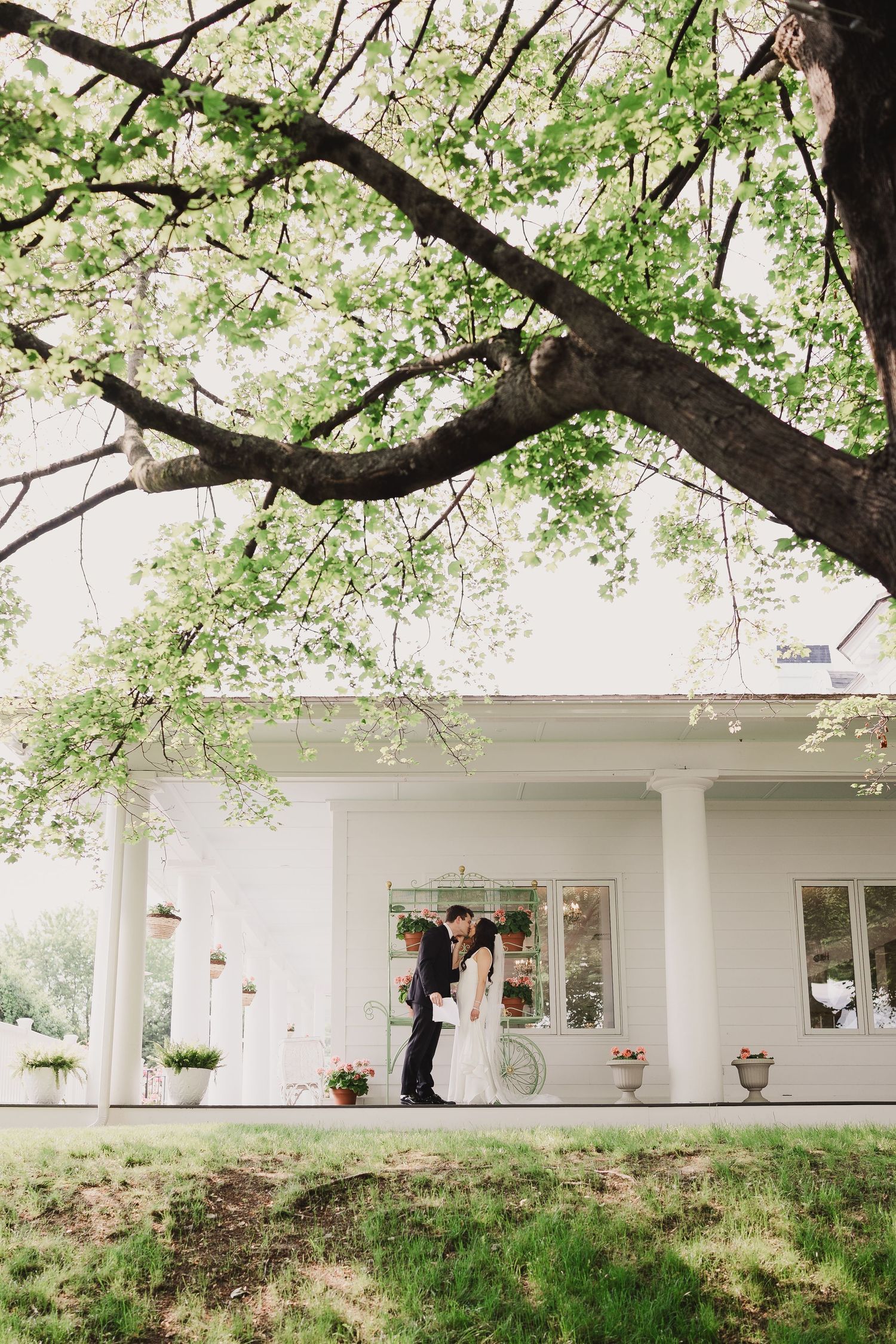 Bride and groom embracing under blooming tree outside elegant white wedding venue.