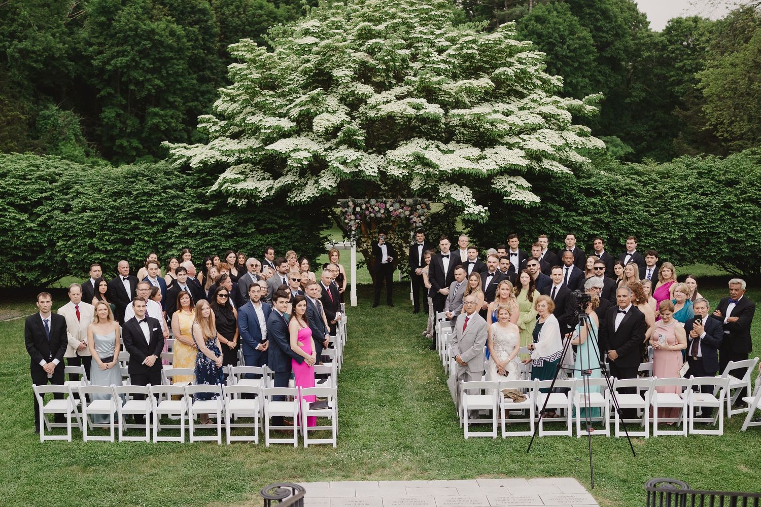 Outdoor wedding ceremony with guests seated on white chairs facing an altar beneath a large flowering tree in a lush garden.