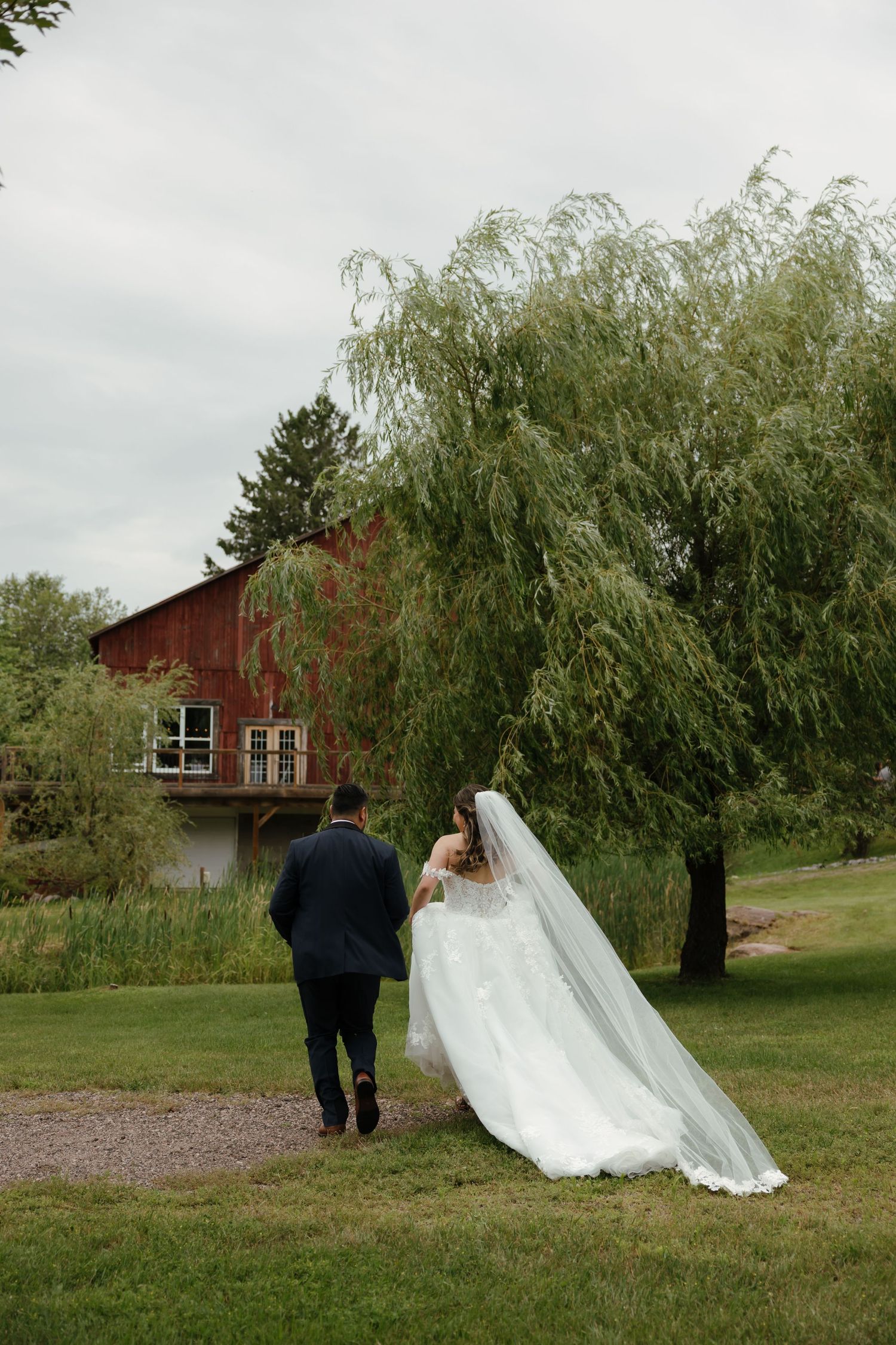 A couple in wedding attire walks on a path near a red barn with a weeping willow tree on an overcast day.