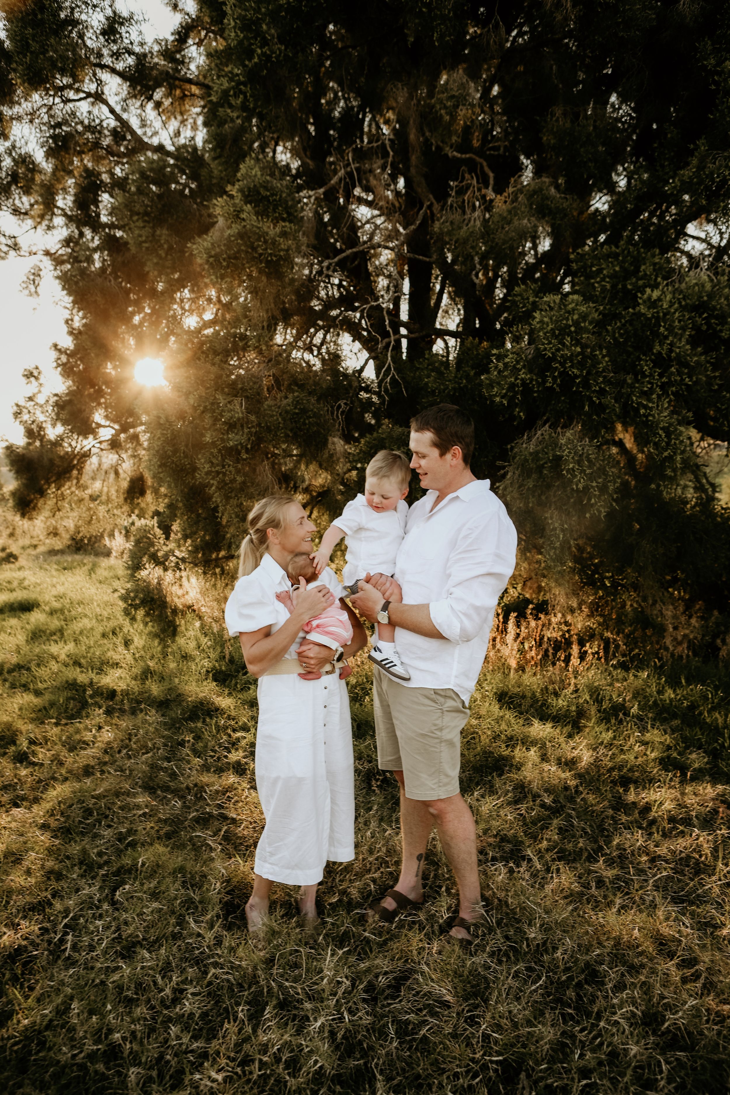 Family photoshoot in a golden sunlit field with tall trees during sunset creating a warm, magical atmosphere.