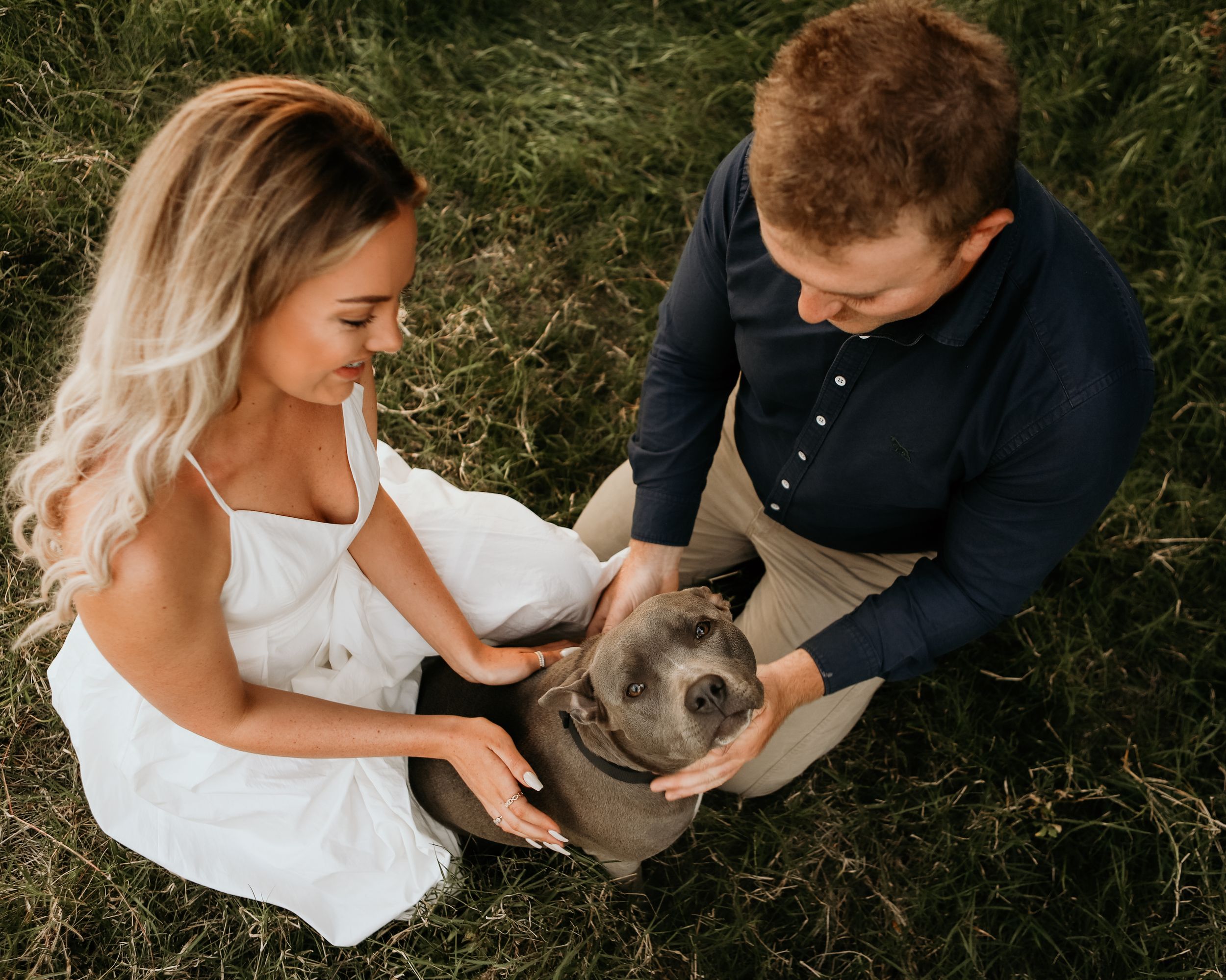 A couple in wedding attire pets a gray cat together while sitting in grass.
