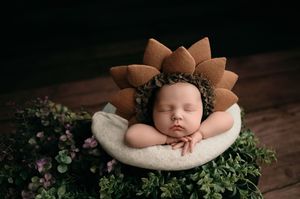 A set of professional newborn photography portraits featuring floral arrangements, rustic wood backgrounds, and soft lighting.