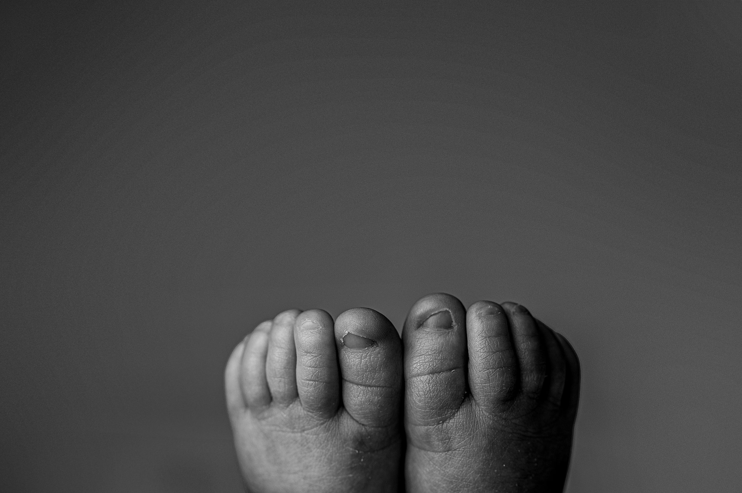 Black and white close-up of tiny baby toes lined up in a row.