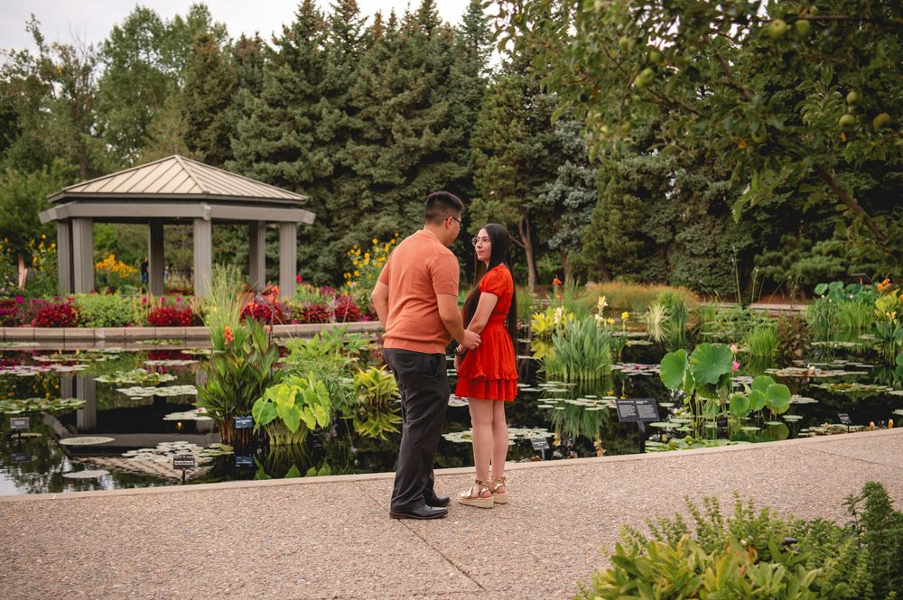 A peaceful garden path leads through a botanical garden with a gazebo and diverse landscaping on a sunny day.