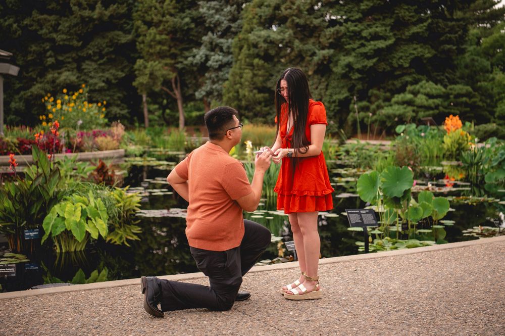 A romantic proposal scene by a lily pond in a garden with two people in vibrant orange and red outfits.